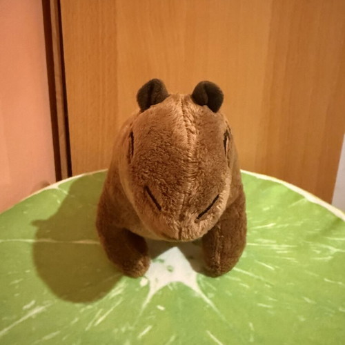 Capybara Plush Toy like new, soft and adorable