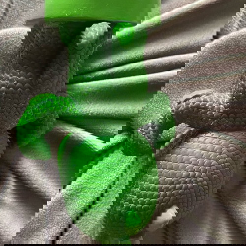 Gekko- Πιτζαμοήρωες Μπουγελόφατσα