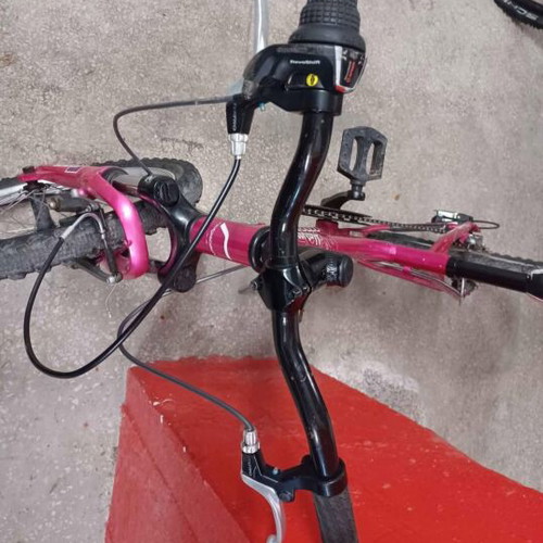 Ridgeback aluminum kids bicycle used, girls