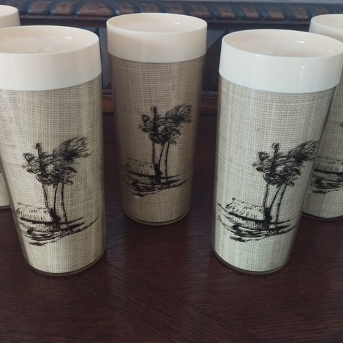 Thermo-Serv Vintage Insulated Tumblers Set of 5 Tahitian Holiday