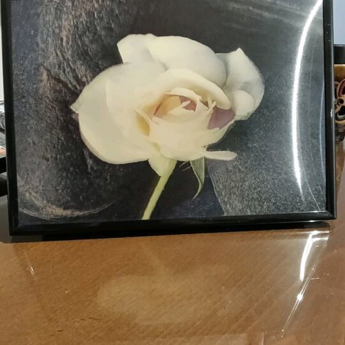 Set of frames with 3d rose image and used frame