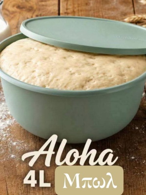 Aloha set of 2 airtight bowls 7.5L and 4L