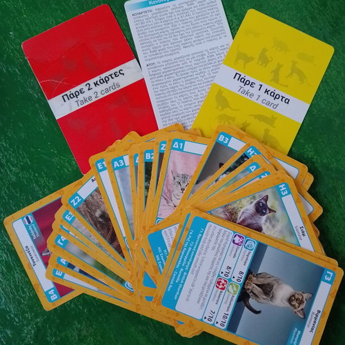 Yperatou card games used, cats and dinosaurs