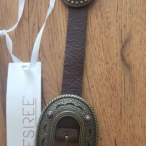 Desire brown belt new with embossed metal discs and bronze finish