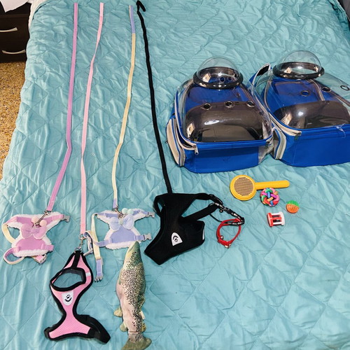 Complete cat accessories set with astronaut backpacks and toys