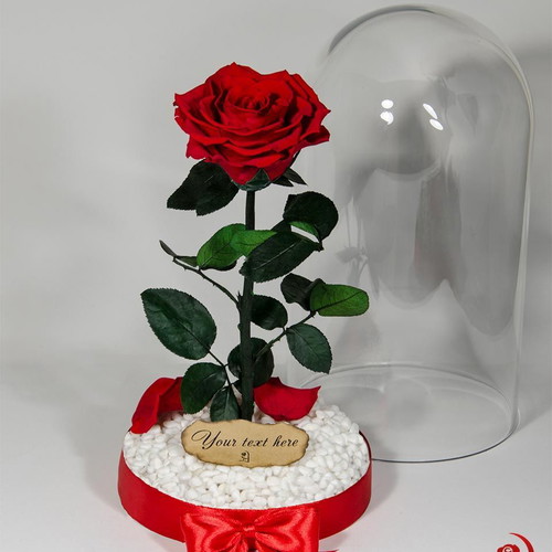 Red Eternal Rose in Large Glass Dome made to order