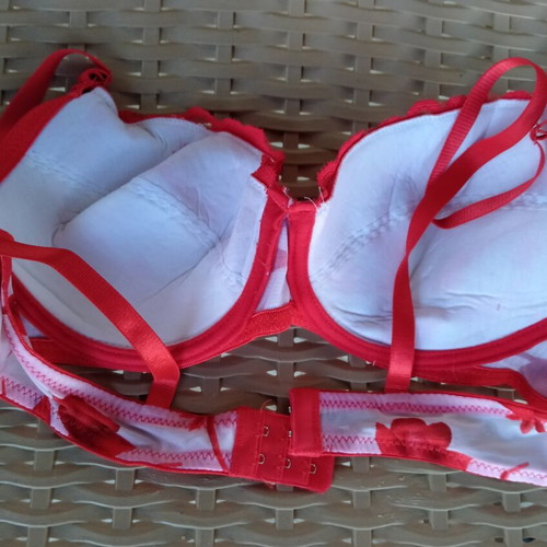 Bra 80B new with tag, red lace floral design