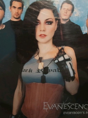 Evanescence Everybody's Fool CD single like new