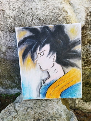 Goku Painting 25*30cm