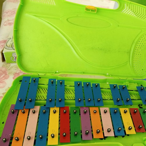 Metallophone used children's musical instrument in case