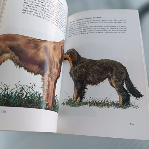 O Skylos Mas dog care book