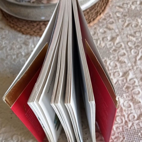 Feng Shui: Geonergia & Choroenergia book like new by Aggil Loupescou 4th edition