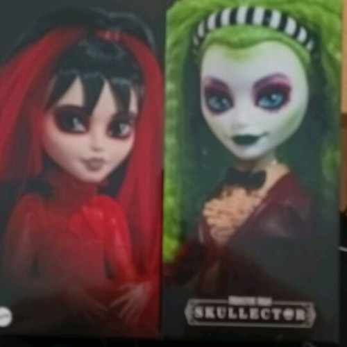 Monster High Beetlejuice doll new, unopened