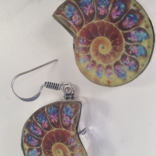 Earrings with colorful ammonite design, new
