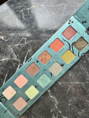Urban Decay Wild Greens Palette like new