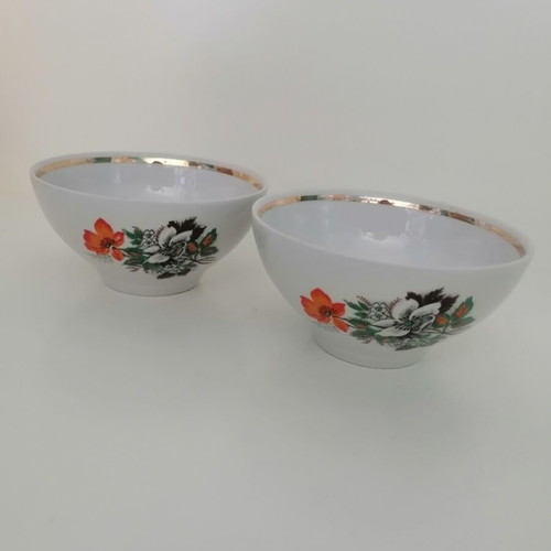 Porcelain bowls vintage set of two with floral pattern, like new