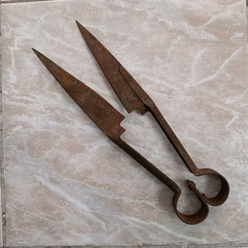 Vintage sheep shears used
