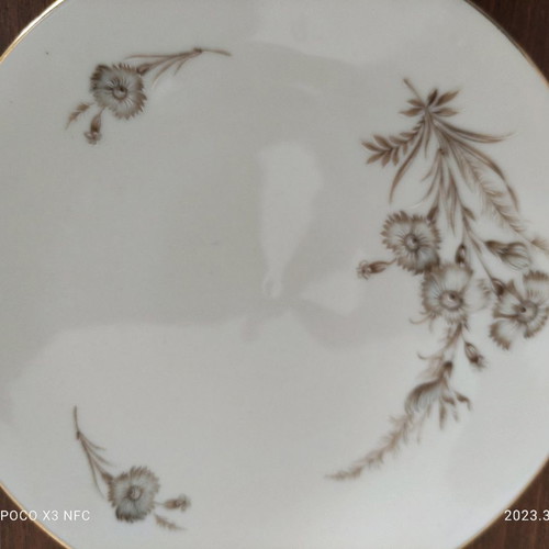Schumaan German porcelain plates new, set of 6 pieces
