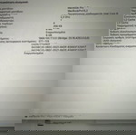 MAC BOOK PRO 13,3 8 GB RAM 512 SSD