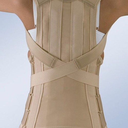 T.Taylor FX-213 Orliman Thoracolumbar Brace new