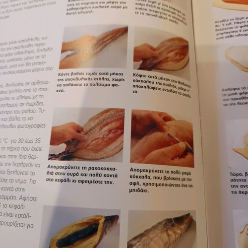 The Buffet handbook for professionals like new
