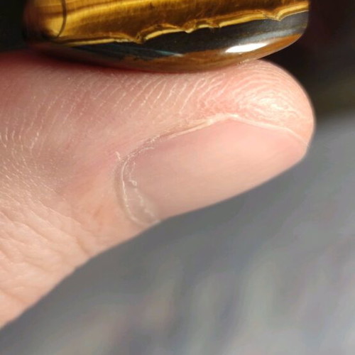 Tiger's Eye set new, 3 samples with strong iridescence