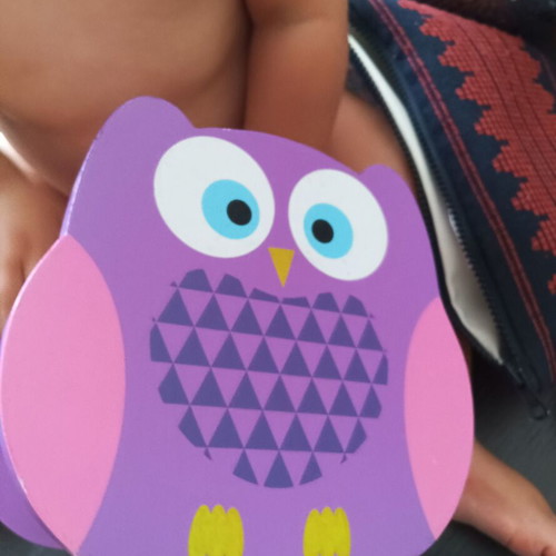Toy set used with stacking cups and wooden owl shape sorter