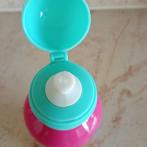 Paul Frank insulated bottle used with signs of wear
