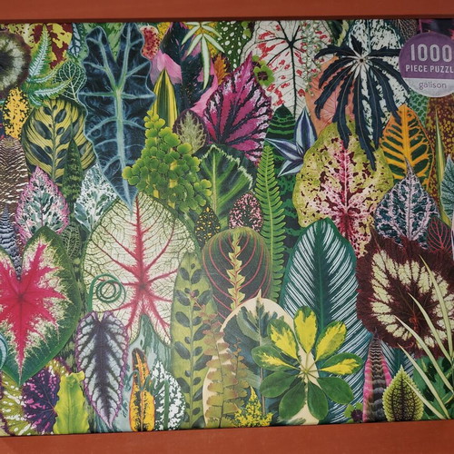 Galison Houseplant Jungle 1000-piece puzzle