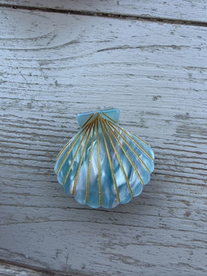 Hair clip new