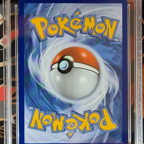 Pokemon Card Special Delivery Charizard Black Star Promo 2022 new