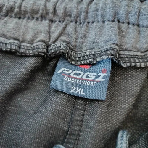 Women's Sportswear Pogi Pants size 2XL like new, gray
