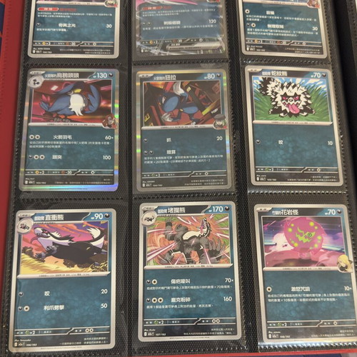 Pokémon Binder with Full 1-193 Ascended Hero Set in Traditional Chinese, mint