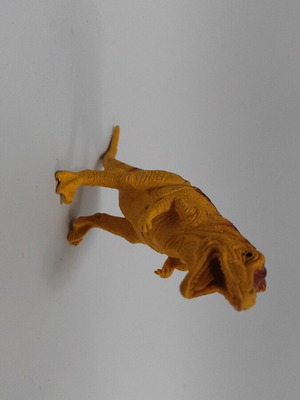 Dinosaur like new