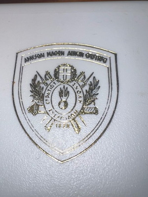 Evangelion School Silver-Plated Medal used with box and certificate