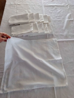 Vintage tablecloth set 2m x 1.3m with 12 handmade napkins