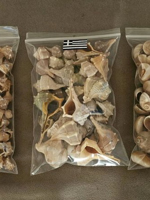Shell bags like new, pack of 5 for crafts or decoration