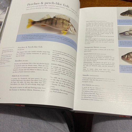 Teubner Fish and Seafood book new, English