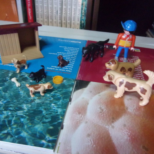 Playmobil Puppies In Their Box