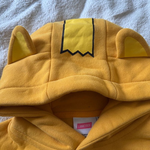 Lankybox kids sweatshirt like new with warm lining size 104 cm