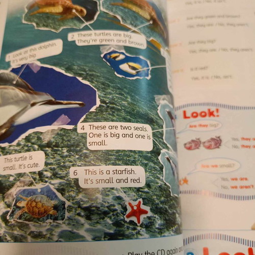 Smart Junior A Teacher's Book new
