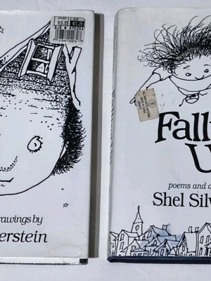 Set of 2 foreign language books like new