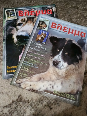 Vlemma magazines like new, two together