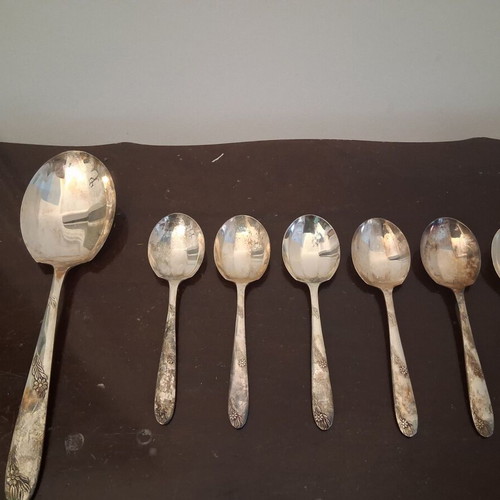 Angora vintage silver-plated spoon set, like new