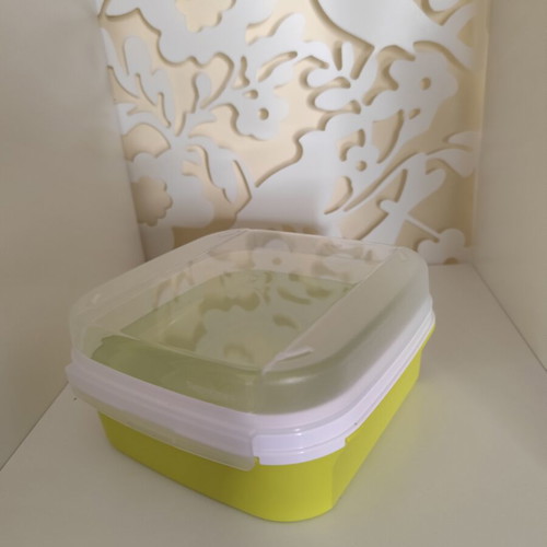 Tupperware green container 1.2 liters new