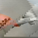 Миу миу
