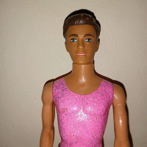 Paul Skater collectible Hasbro Sindy 1996 used