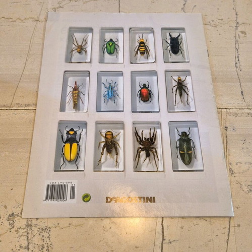 DeAgostini True Insects Magazines used, set of 5