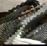  Παιδικά παπούτσια