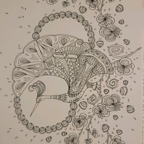 Coloring Book Fantasia like new